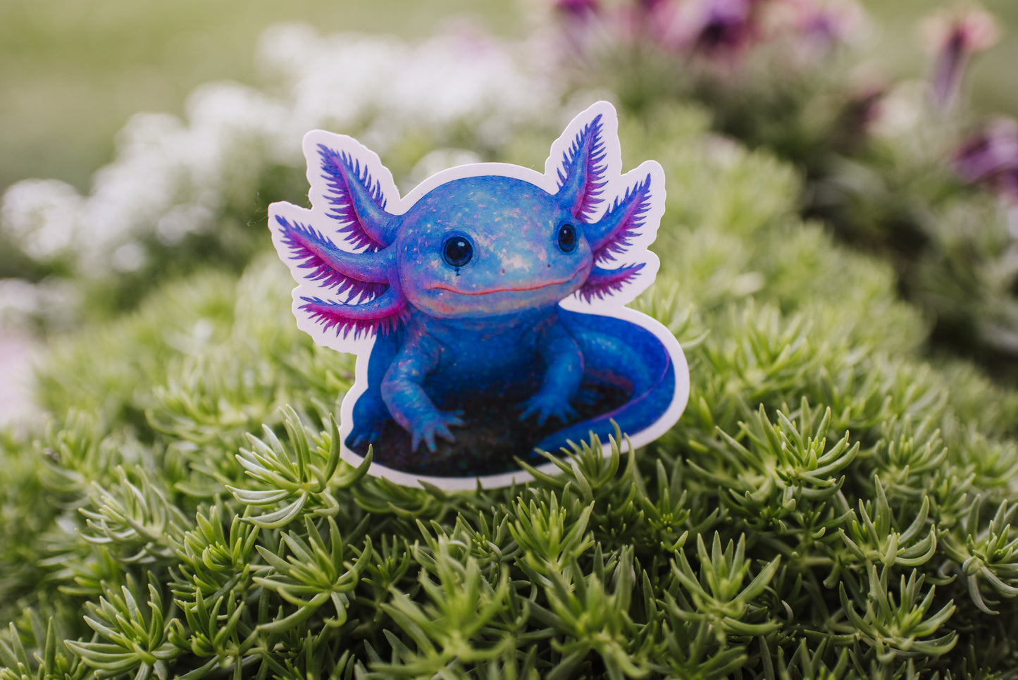 Shadowgill Axilotl- Holographic