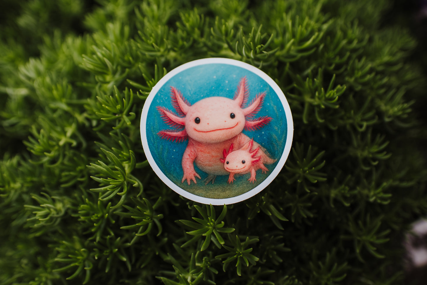 Bubble and Squeak Axilotl